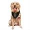 Black Pittsburgh Pirates Kent Tekulve   Dog & Cat Pet Bandana