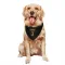 Gold Pittsburgh Pirates Phil Garner  Black  Dog & Cat Pet Bandana